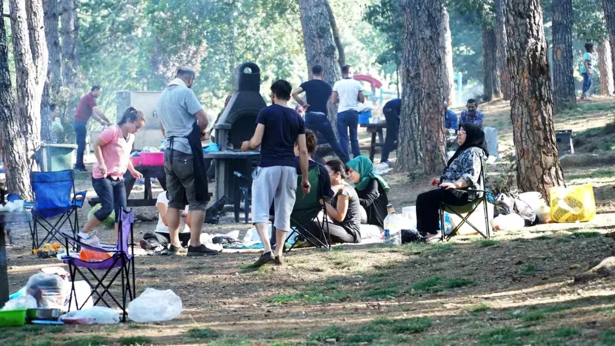 Denizli'de Orman Yangınlarına Karşı Ateş Yakma Yasaklandı