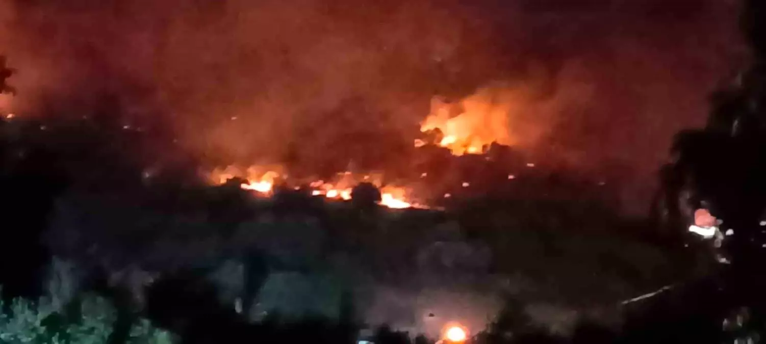 İzmir Dikili'de Orman Yangını, Yol Ulaşıma Kapandı