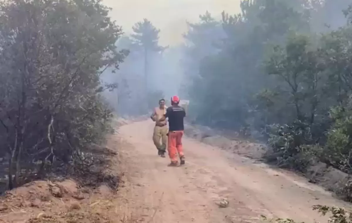 Orman Yangınında Yaralanan İşçi Yoğun Bakımda Tedavi Ediliyor