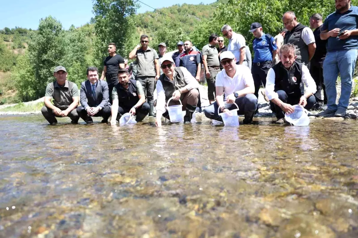 Düzce'de 20 Bin Alabalık ve 5 Kukumav Kuşu Doğaya Salındı