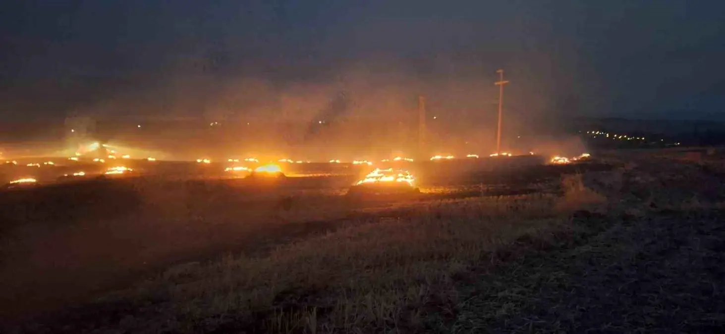 Ankara'da Elektrik Direğinden Çıkan Kıvılcımlar Yangın Çıkardı