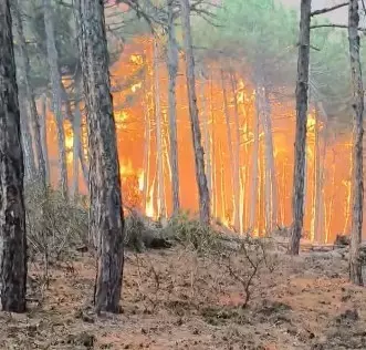 The identities of the 10 people who lost their lives in the fire in Eskişehir have been revealed