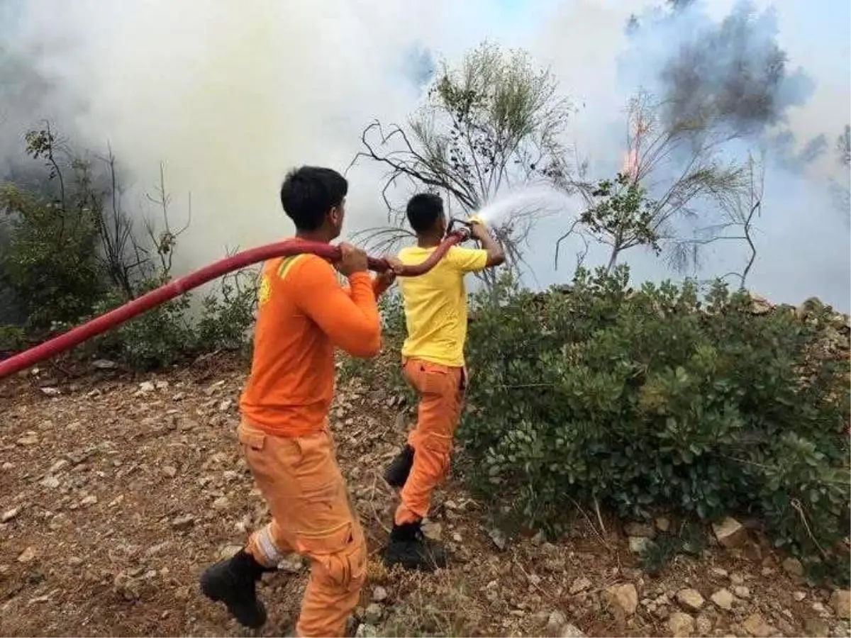 Hatay'da Orman Yangını Kısa Sürede Kontrol Altına Alındı