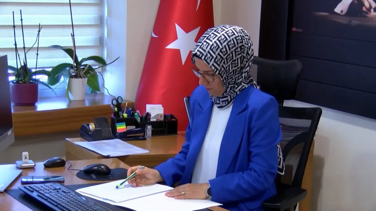 Öğrencilere Kariyer Rehberliği: İŞKUR'dan DABİS Sistemi