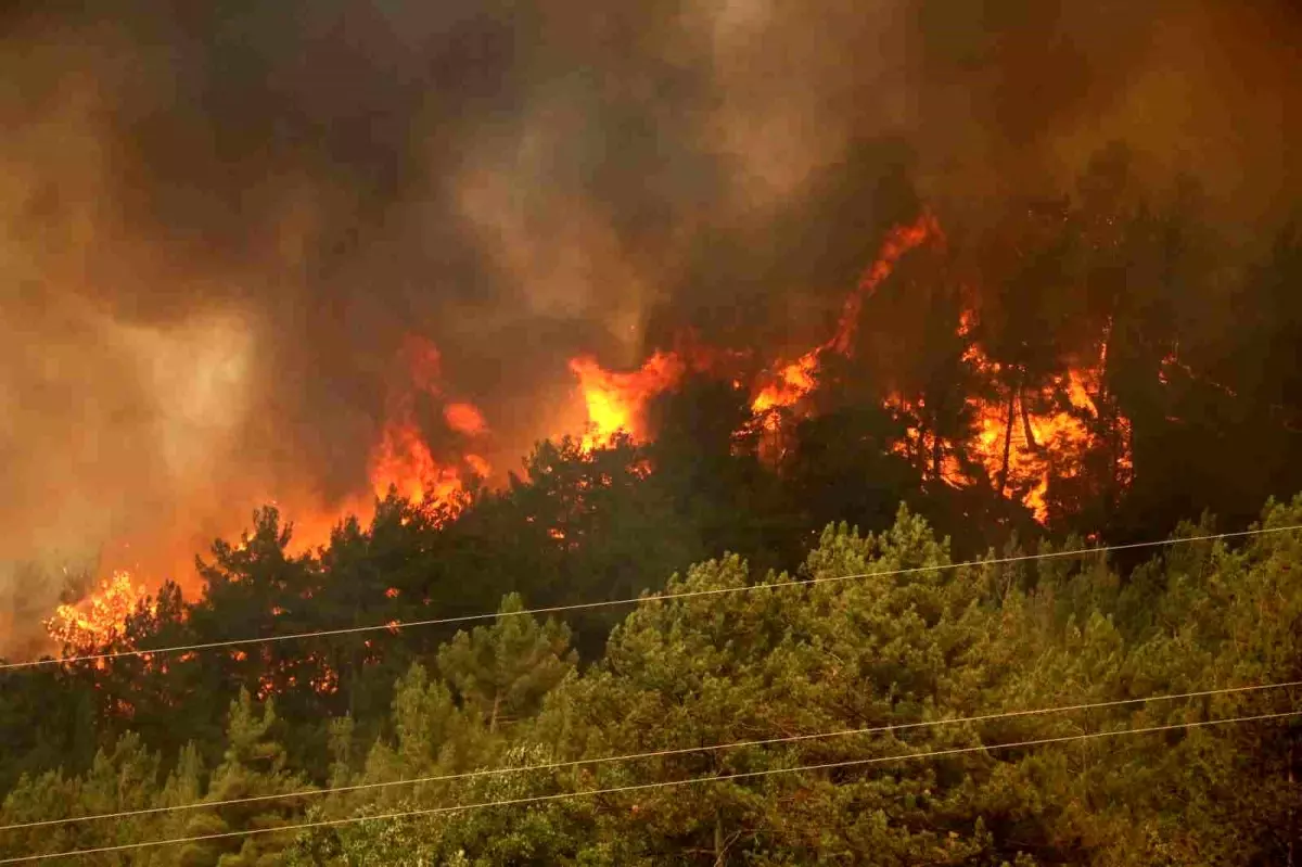 Karabük'te Orman Yangını Yeniden Alevlendi
