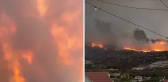 Kıbrıs'ta yangın felaketi: 2 kişi araçta yanarak öldü, lüks villalar kül oldu