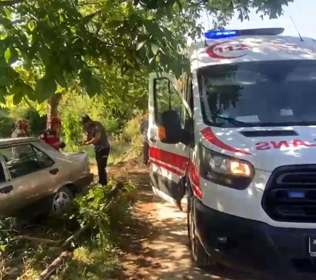 Akyazı'da Otomobil Ağaca Çarptı: Karı-Koca Yaralandı
