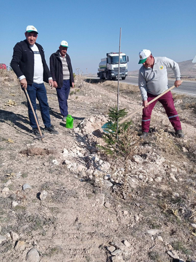 Forest martyr Eyüp Dereli became a forester due to his love for nature