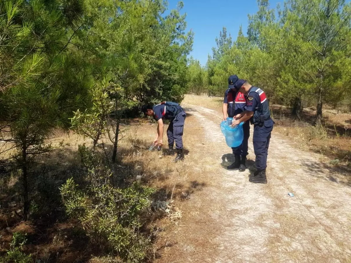 Aydın'da Orman Yangınları İçin Denetimler Artırıldı