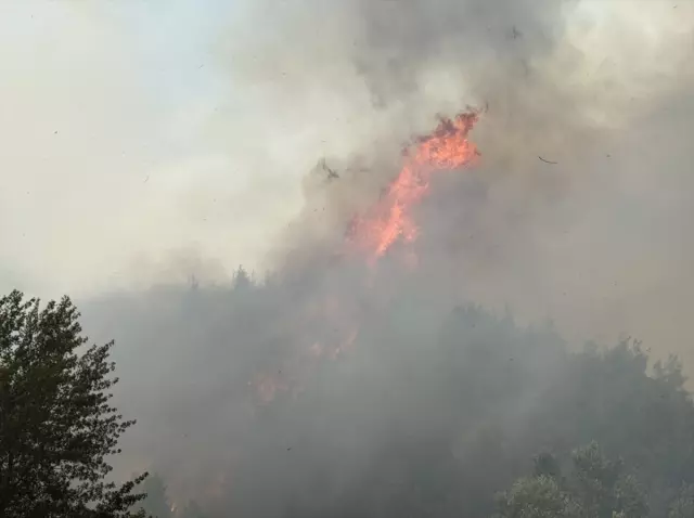 The intervention continues on the 4th day of the forest fire spreading from Sakarya to Bilecik