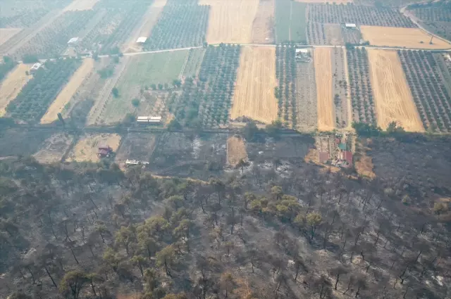 The intervention continues on the 4th day of the forest fire spreading from Sakarya to Bilecik
