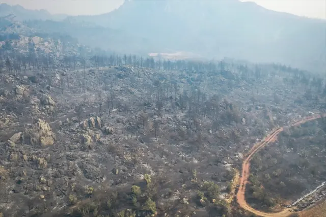 The intervention continues on the 4th day of the forest fire spreading from Sakarya to Bilecik