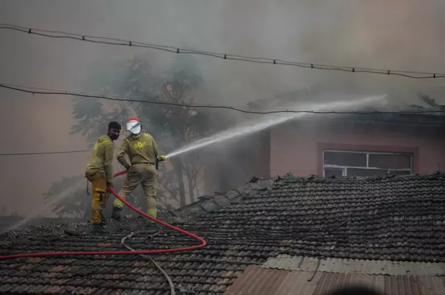 The intervention continues on the 4th day of the forest fire spreading from Sakarya to Bilecik