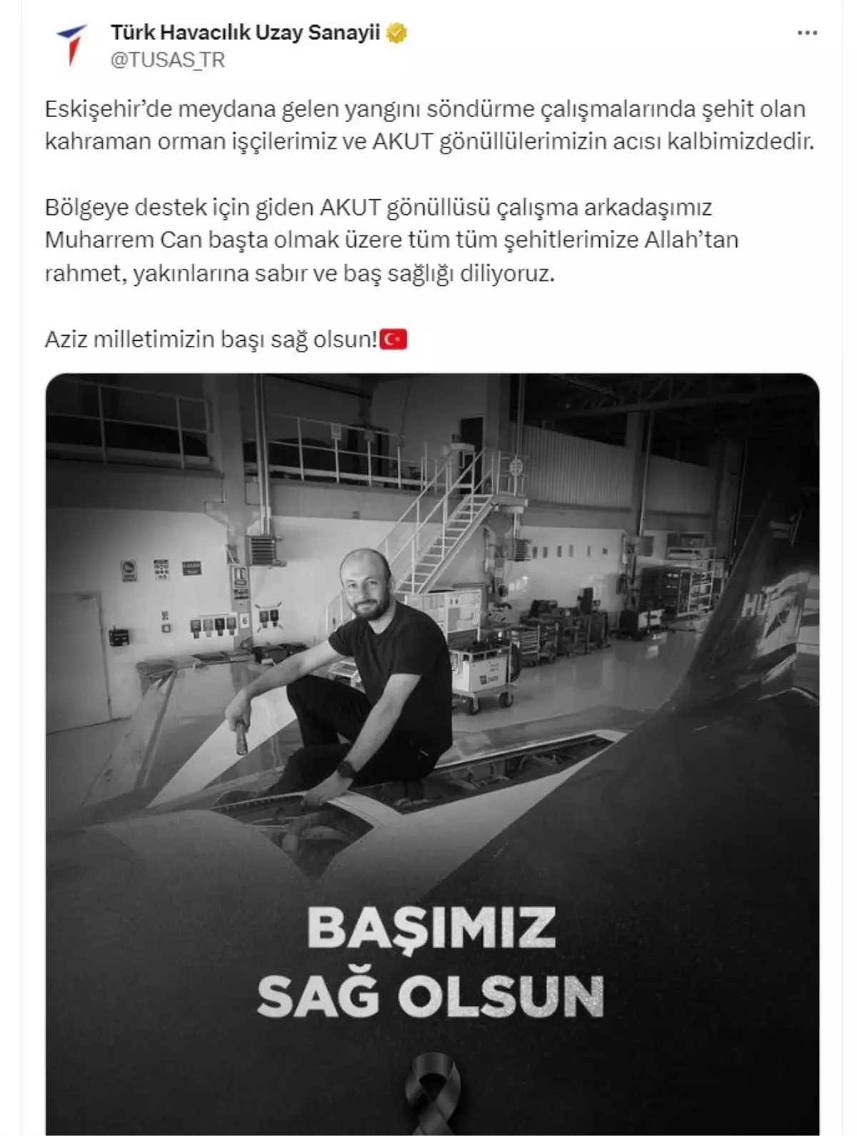 Orman Yangınında Şehit Olan AKUT Gönüllüsü TUSAŞ'ta Baş Mühendislik Yapıyordu