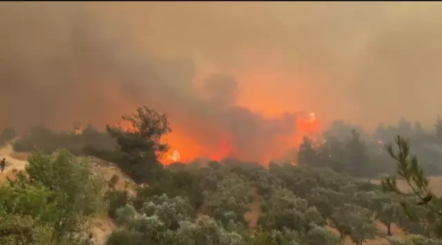 Turkey is surrendered to the flames! Pits have started to be dug in the province where we lost 10 martyrs