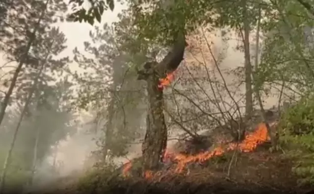 Turkey is surrounded by flames! A fire on all sides