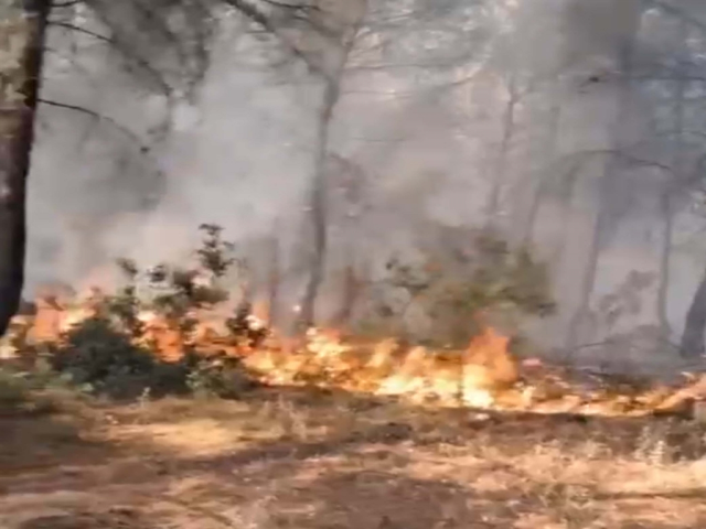 Turkey is surrounded by flames! A fire on all sides