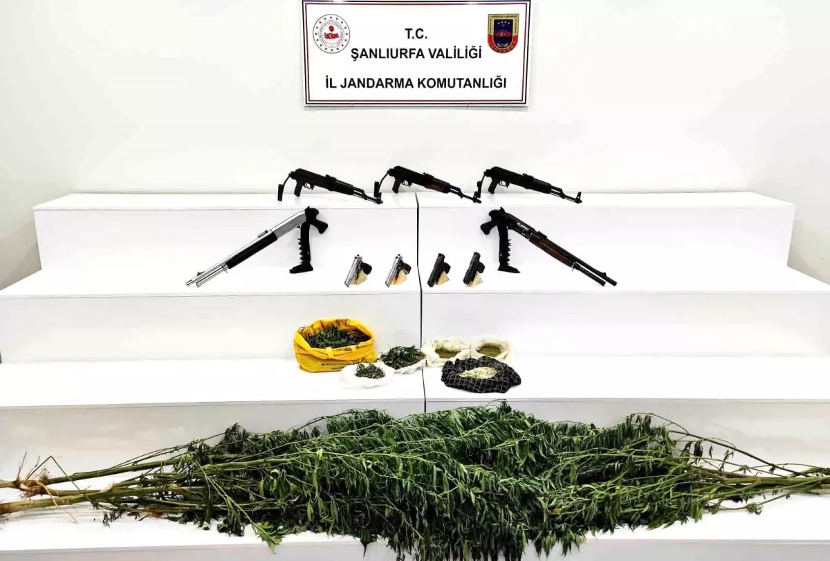 Viranşehir'de Jandarmadan Silah ve Uyuşturucu Operasyonu