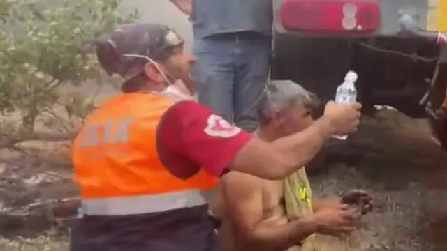 'I'm burning' cry from the forest worker