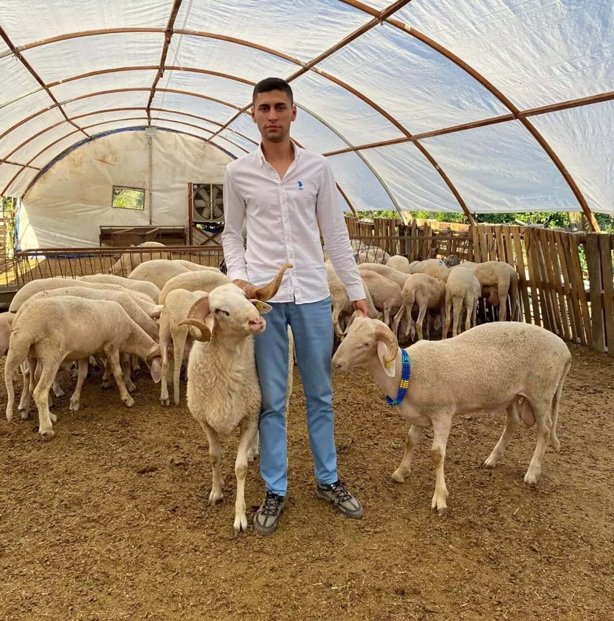 Yüksek Kar Vaadiyle Dolandırıcılık Yapan Hasan Umut Türe Tutuklandı