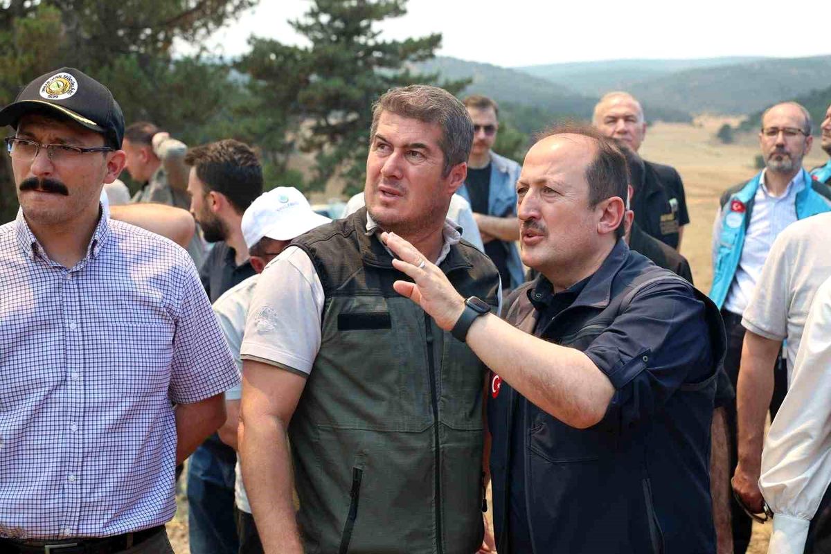 AFAD Yangınlarla Mücadele ve Tahliyeler Hakkında Açıklama Yaptı