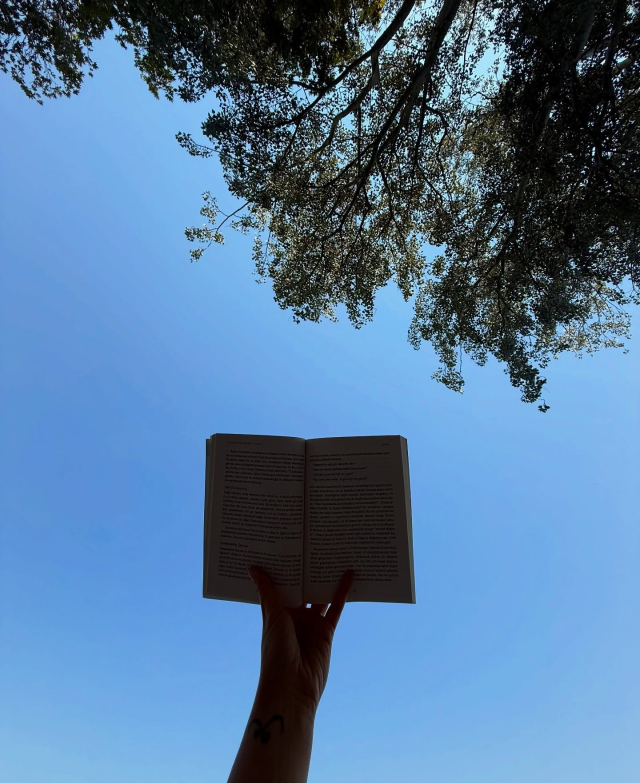 A pose in a bikini from the top of a tree! The note she added to the photo is thought-provoking