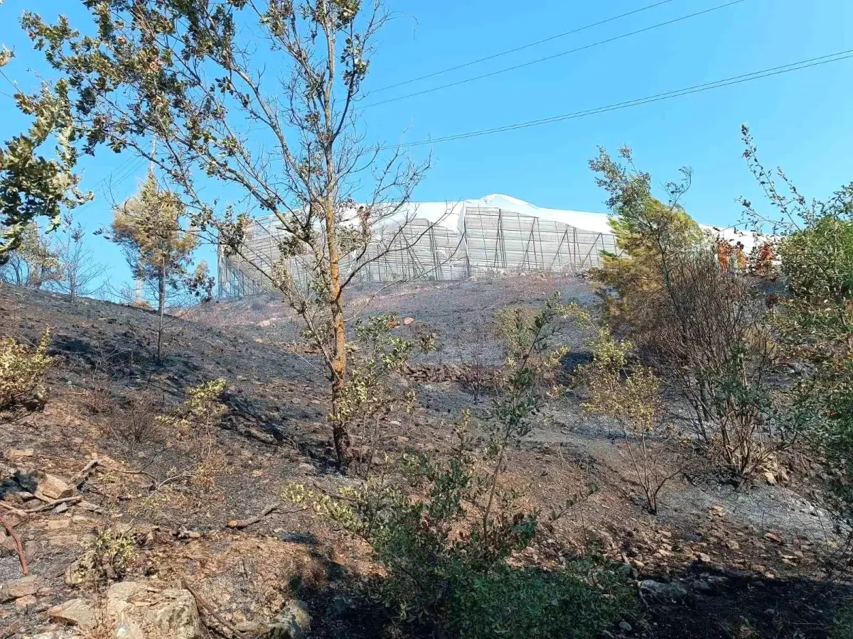 Alanya'da Makilik Alanda Yangın Kontrol Altına Alındı