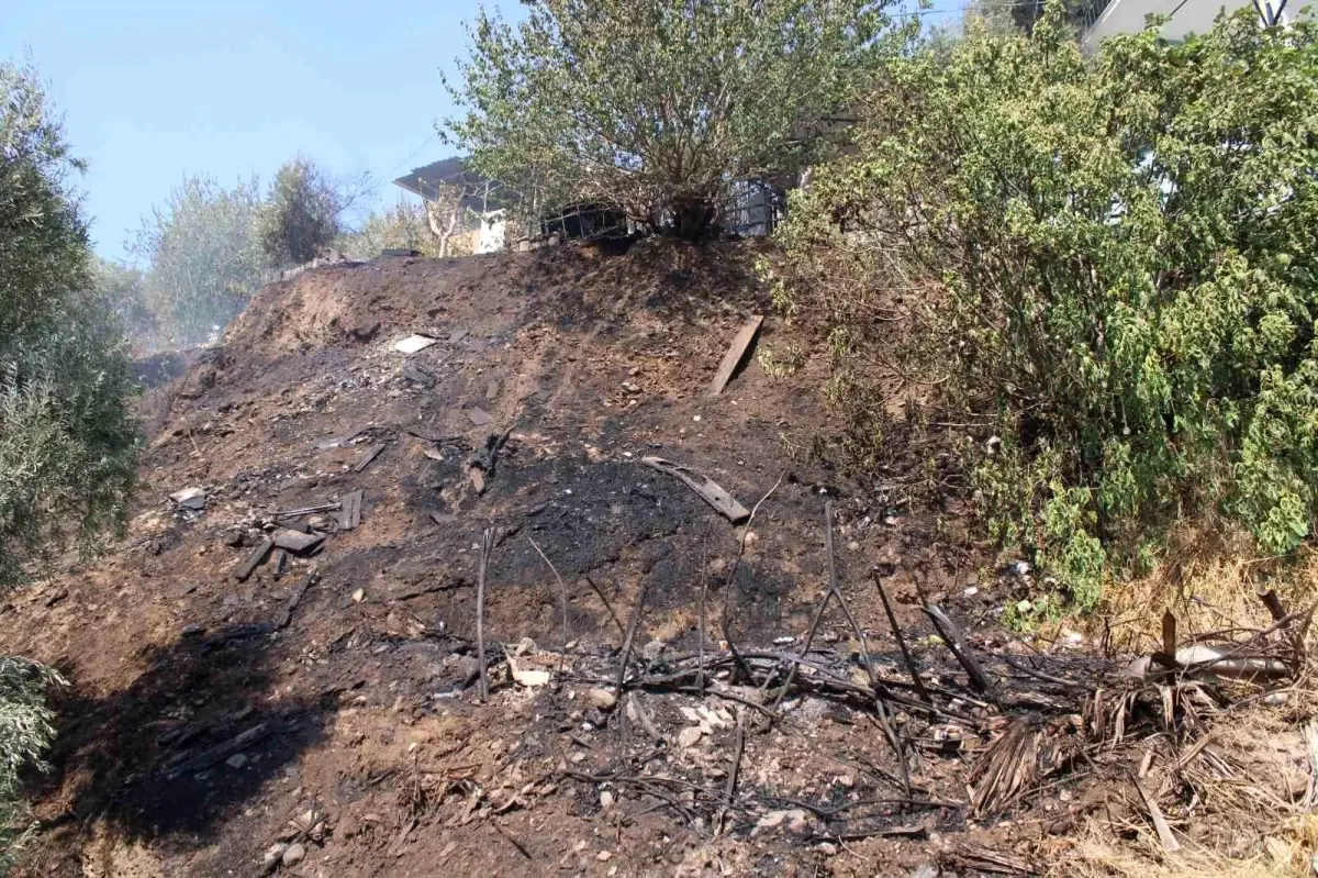 Aydın'da Yangın Tralleis Antik Kenti'ni Tehdit Etti