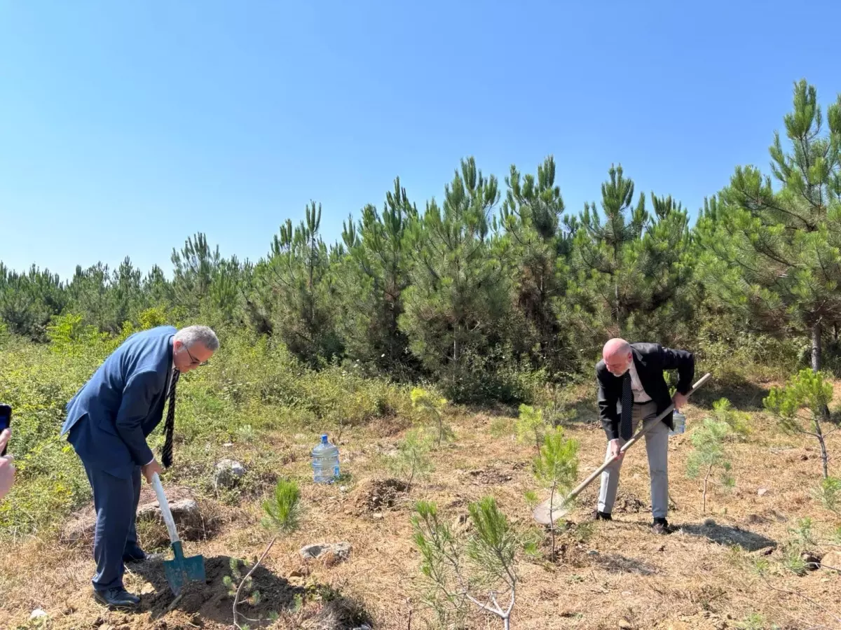 Altınbaş Üniversitesi, Orman Yangınında Şehit Olanlar İçin Fidan Dikti