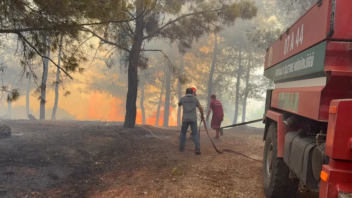 Manavgat'ta Yangın Çıktı: Ekipler Havadan ve Karadan Müdahale Ediyor