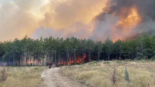 3 separate forest fires in Antalya! The flames approached residential areas