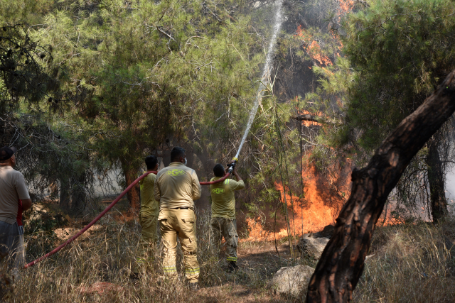 3 separate forest fires in Antalya! The flames approached residential areas