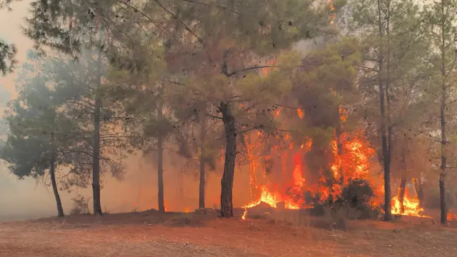 3 separate forest fires in Antalya! The flames approached residential areas