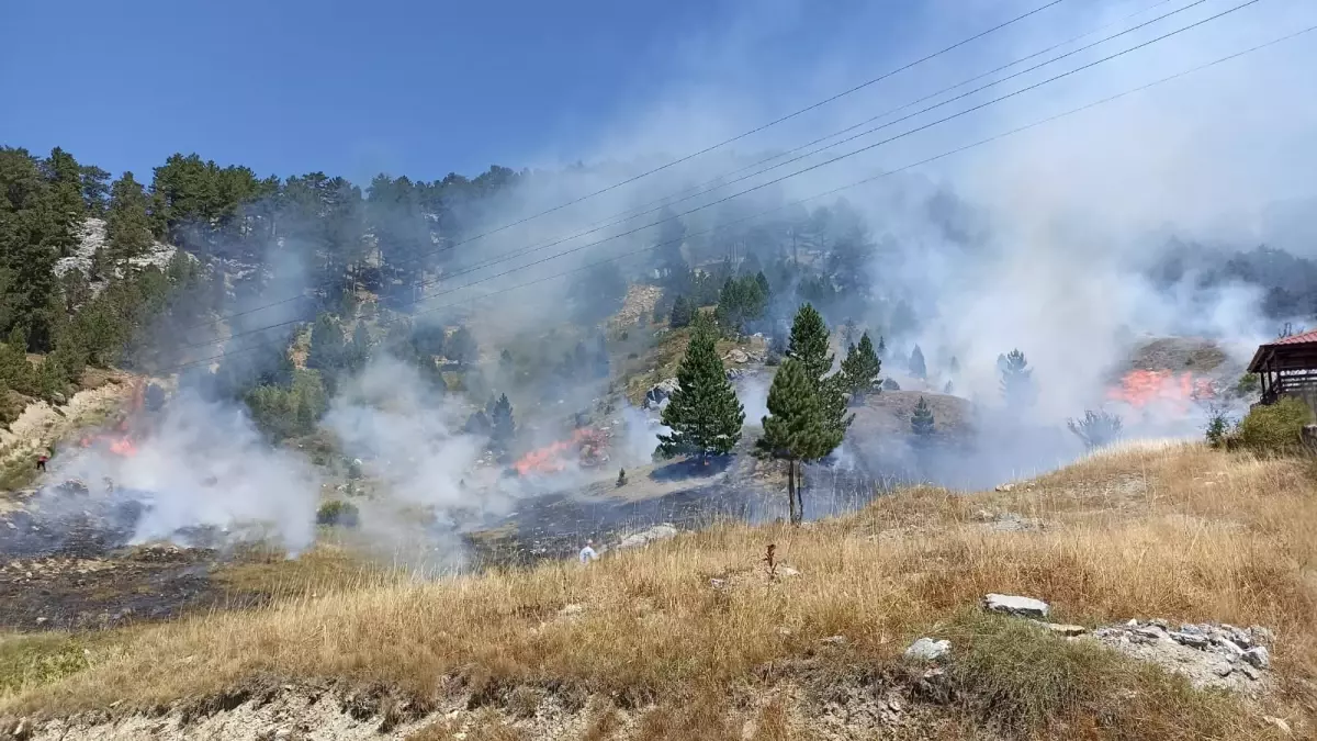 Antalya'da Orman Yangınları Kontrol Altına Alındı