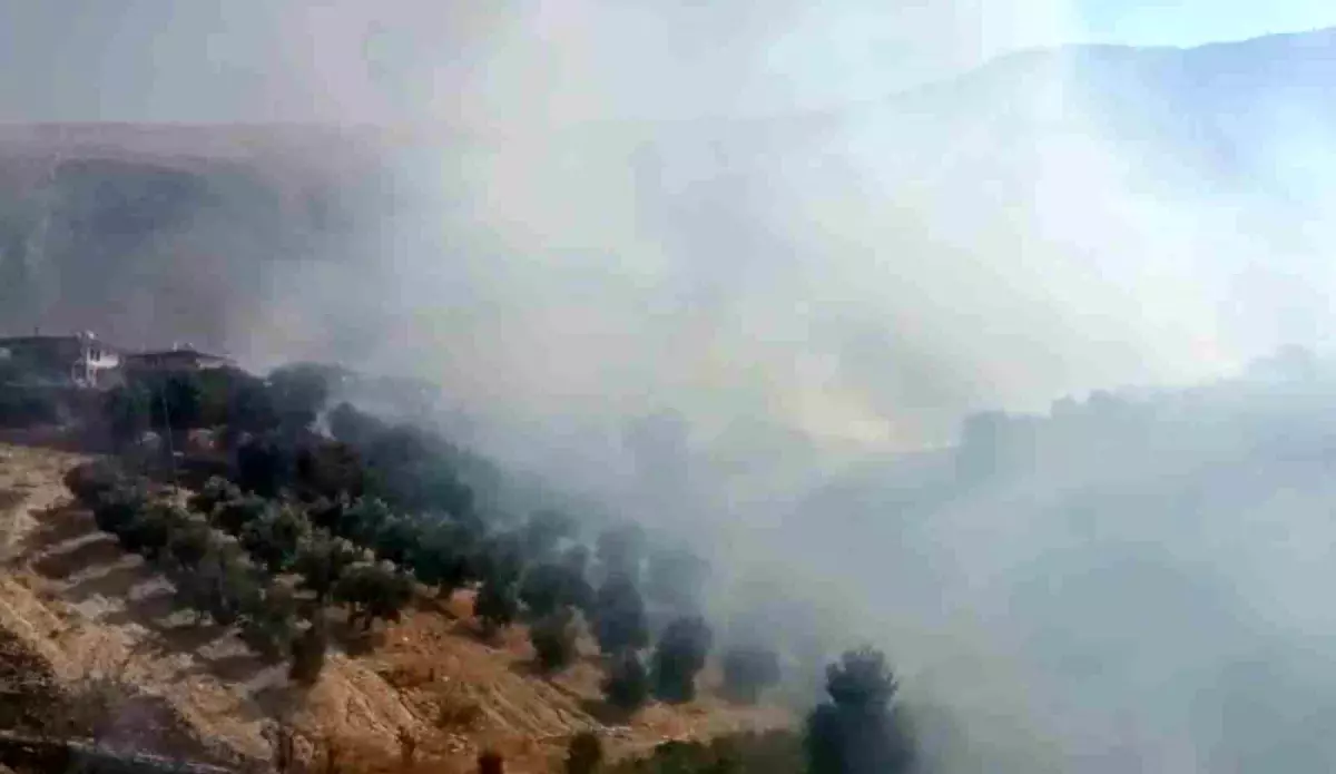 Manavgat'ta Yangın: İtfaiye ve Orman Ekipleri Müdahale Ediyor