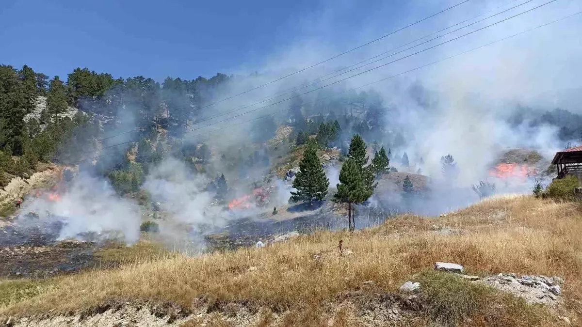 Alanya'da Orman Yangını