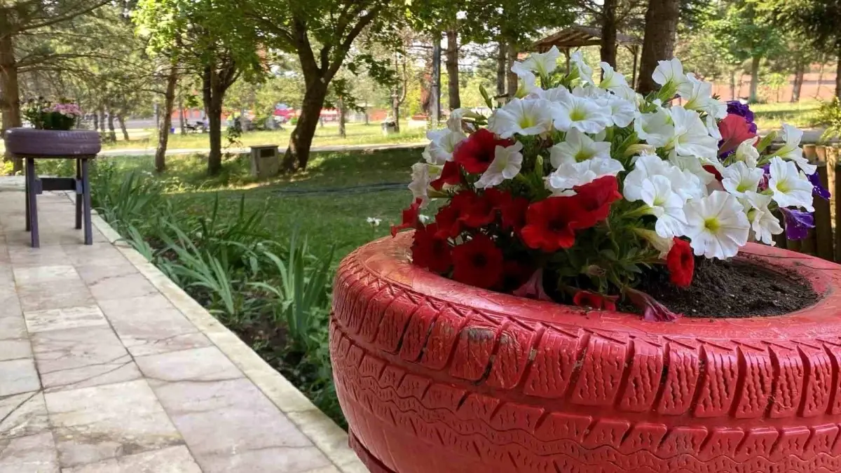 Bolu Abant İzzet Baysal Üniversitesi'nde Geri Dönüşüm Projesi: Evlerdeki Eski Eşyalar Çiçekliğe Dönüştürüldü