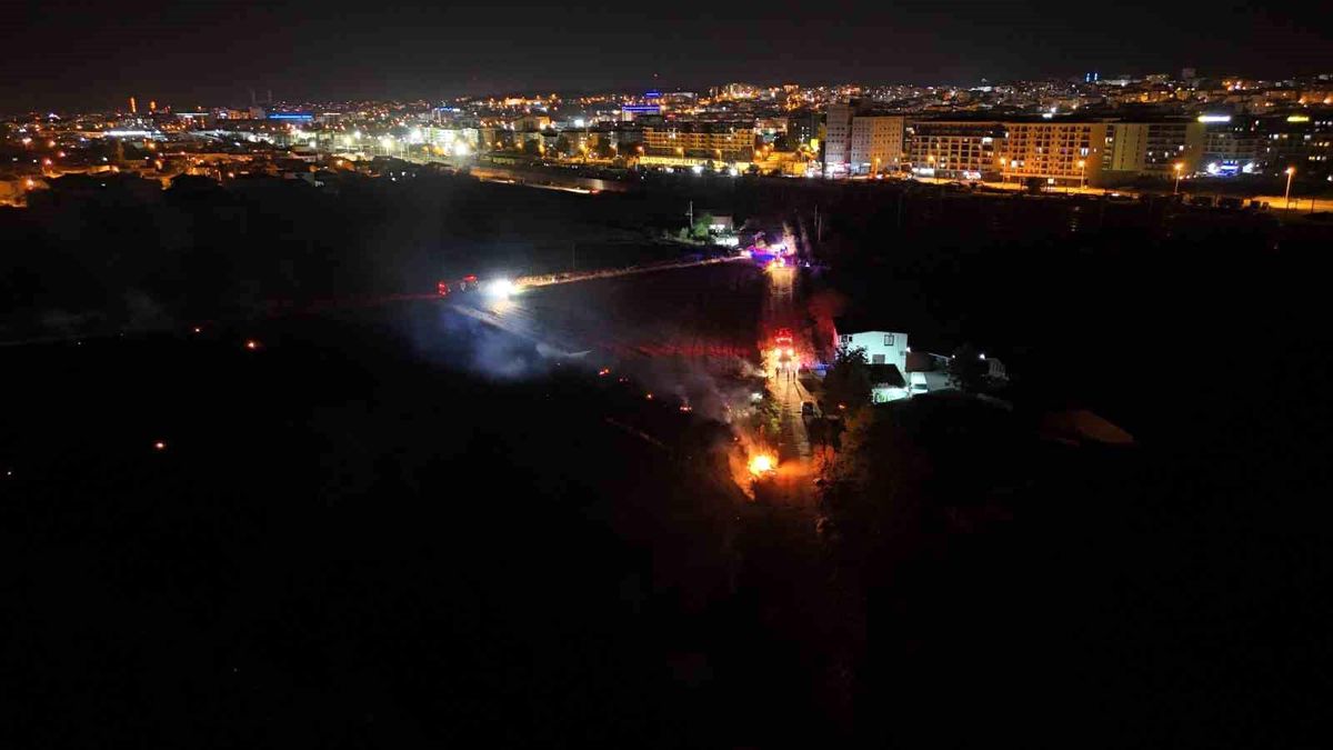 Edirne'de Anız Yangını Paniğe Neden Oldu