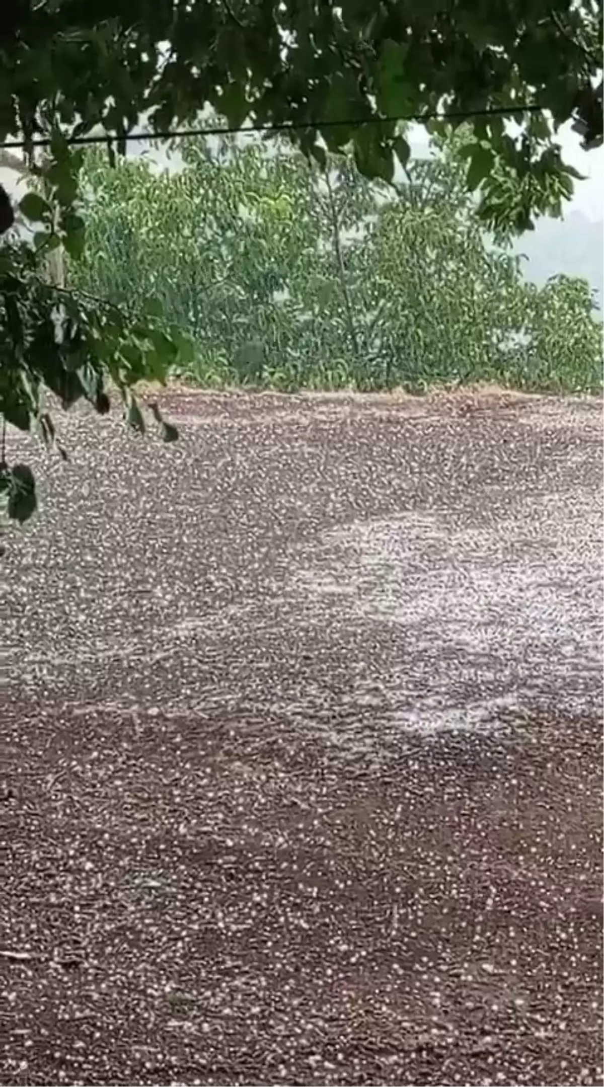 Elazığ'da Dolu Yağışı Beyaza Bürüdü