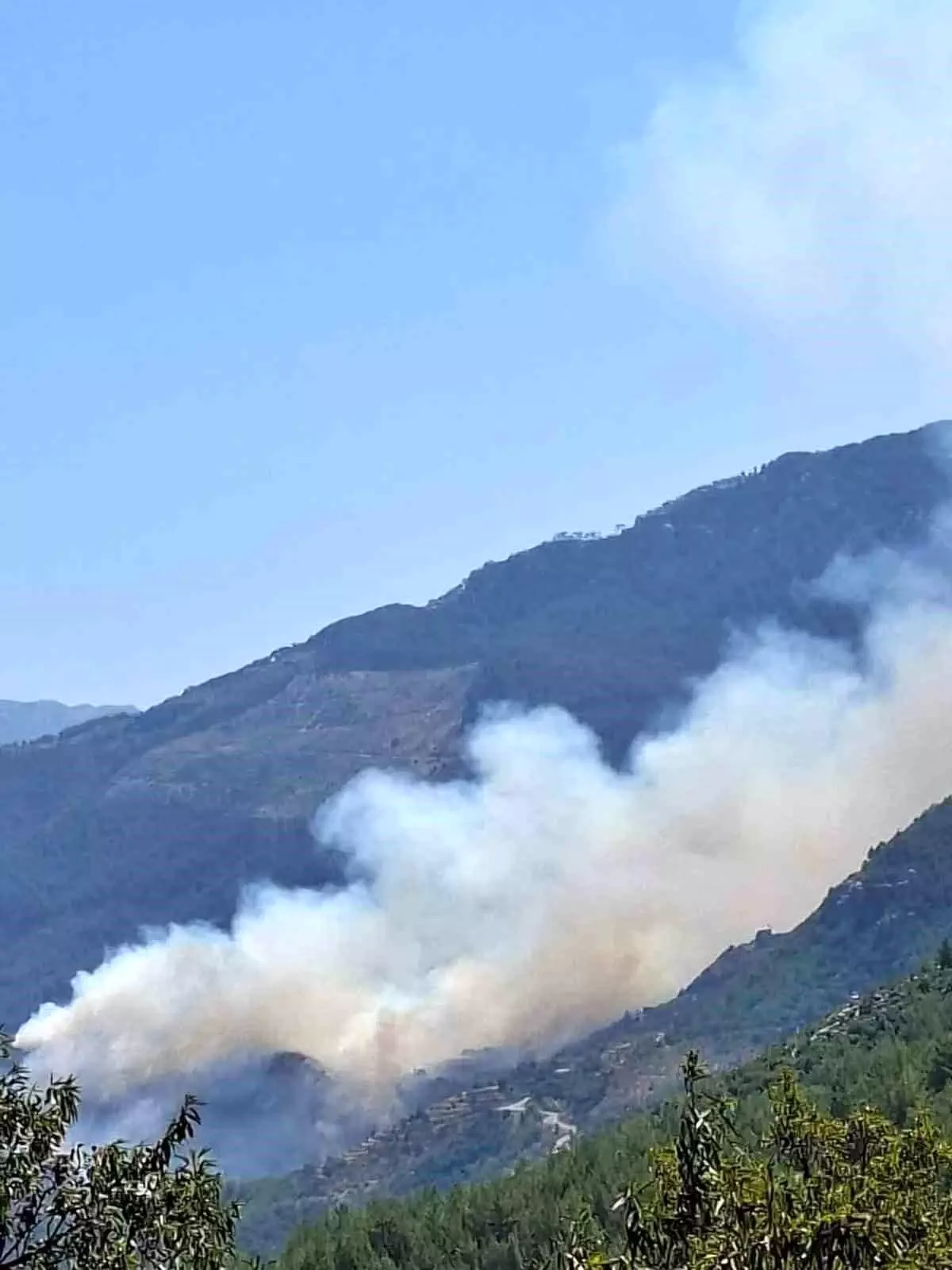 Antalya'da Orman Yangını: Ekipler Hızla Müdahale Ediyor