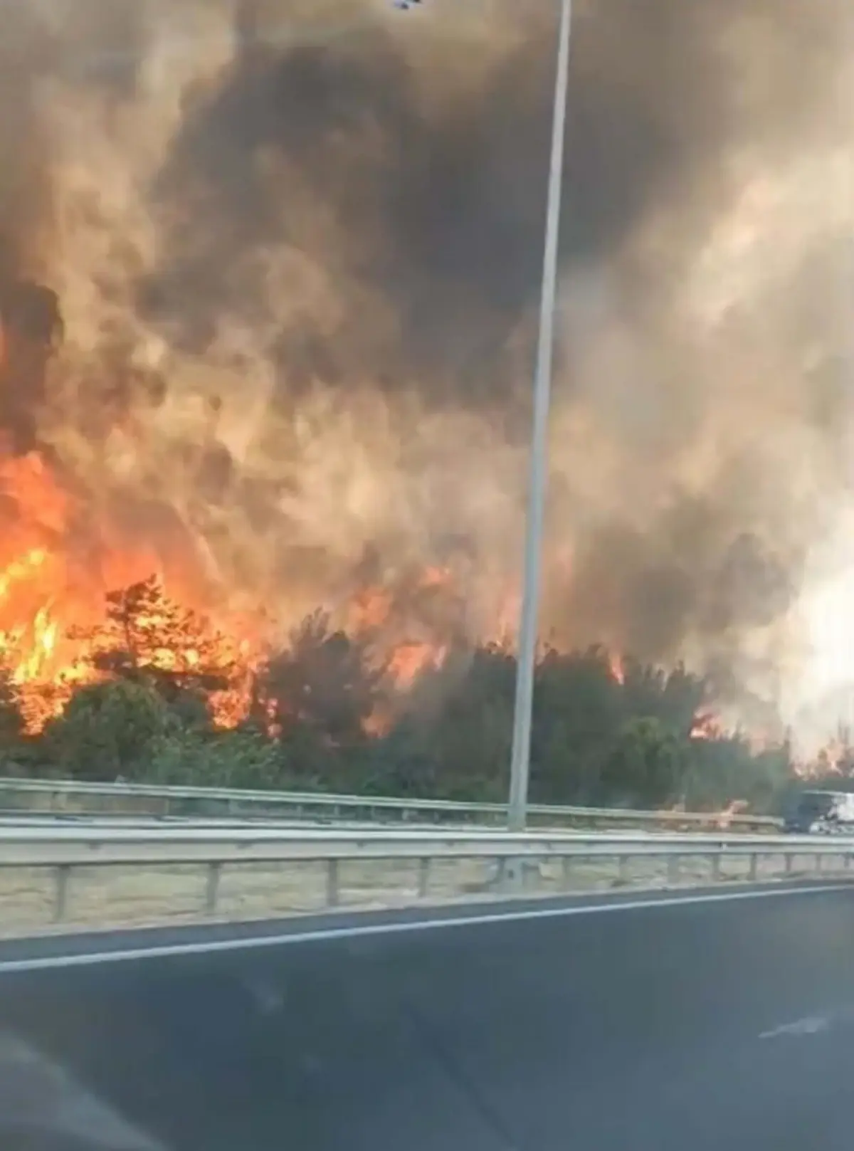 İzmir Buca'da Orman Yangını: Havadan ve Karadan Müdahale Başlatıldı