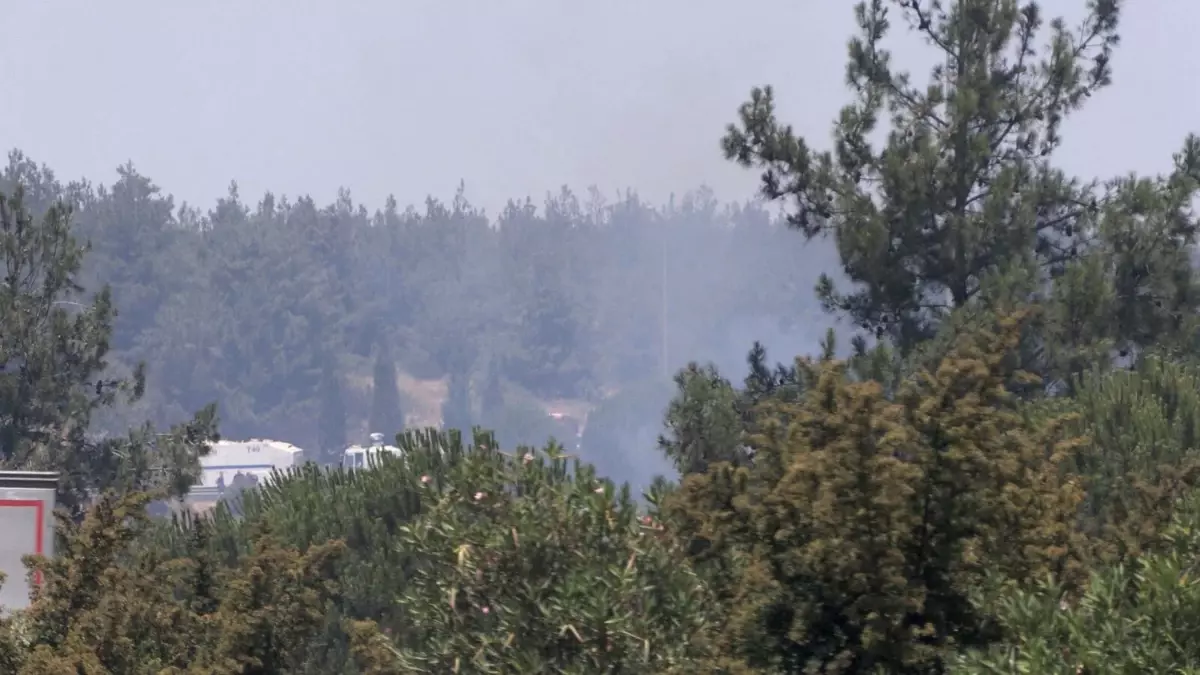 İzmir-Aydın Otoyolu'nda Trafik Kontrol Altında
