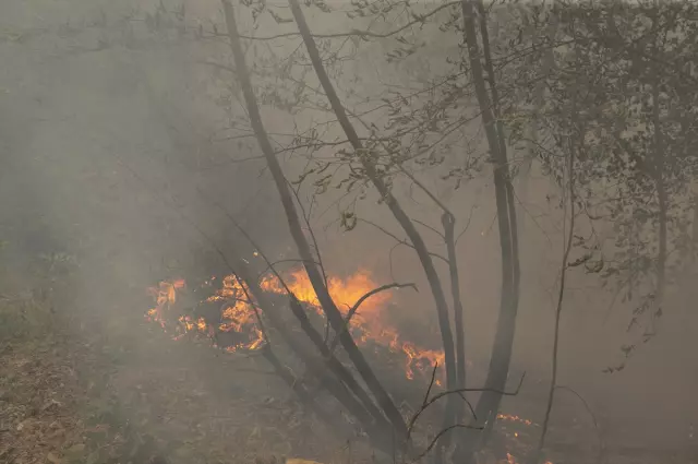 Fires in Karabük continue on the second day: 14 villages were evacuated, 5 personnel were affected by smoke