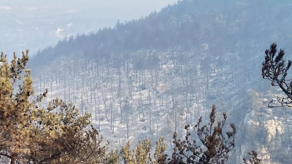 Karabük'te Orman Yangınları Devam Ediyor: 14 Köy Boşaltıldı
