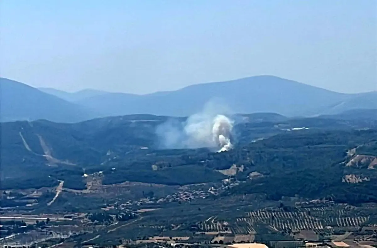 Muğla'da Orman Yangını: Trafik Kapandı