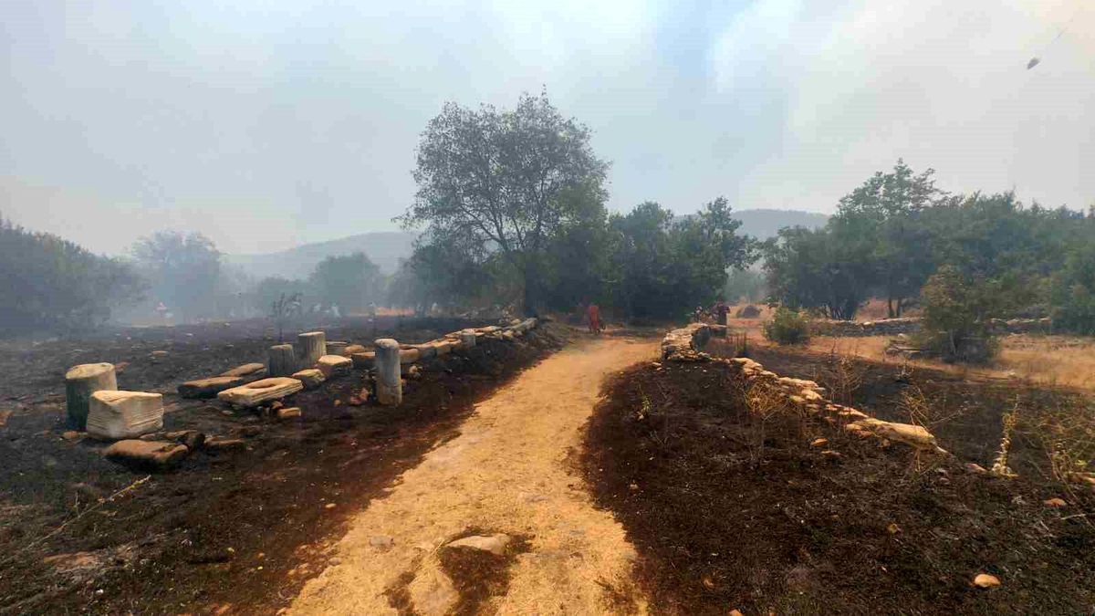 Muğla'da Antik Kent Yakınında Yangın: Müdahale Devam Ediyor