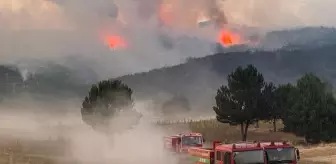 Orman yangınlarında ölümcül tuzak! Alev Kırbacı can alıyor