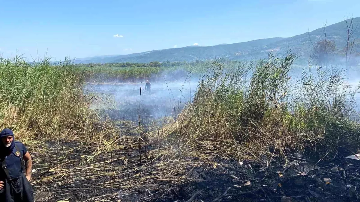 Sapanca Gölü'nde Sazlık Alanında Yangın Kontrol Altına Alındı