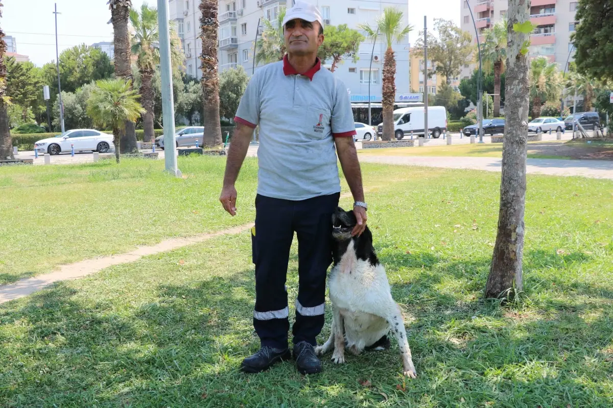 Sokak Köpeği 'Kola' ve Temizlik Görevlisi Mustafa'nın 11 Yıllık Dostluğu