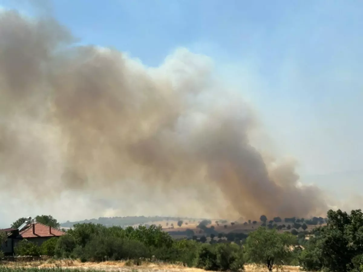Uşak'ta Meşelik Alanda Yangın: Müdahale Devam Ediyor